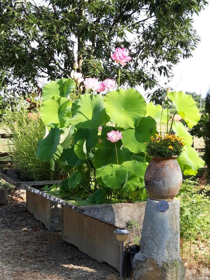 Le Pouy Bed and Breakfast Termes-d'Armagnac Εξωτερικό φωτογραφία