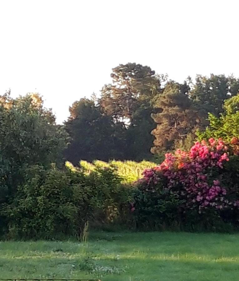 Le Pouy Bed and Breakfast Termes-d'Armagnac Εξωτερικό φωτογραφία